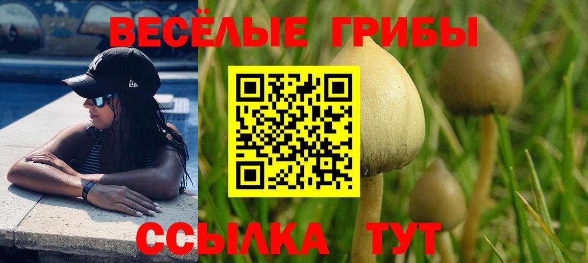 Псилоцибиновые грибы MAGIC MUSHROOMS  где купить наркотик  Ржев  Вход с VPN 