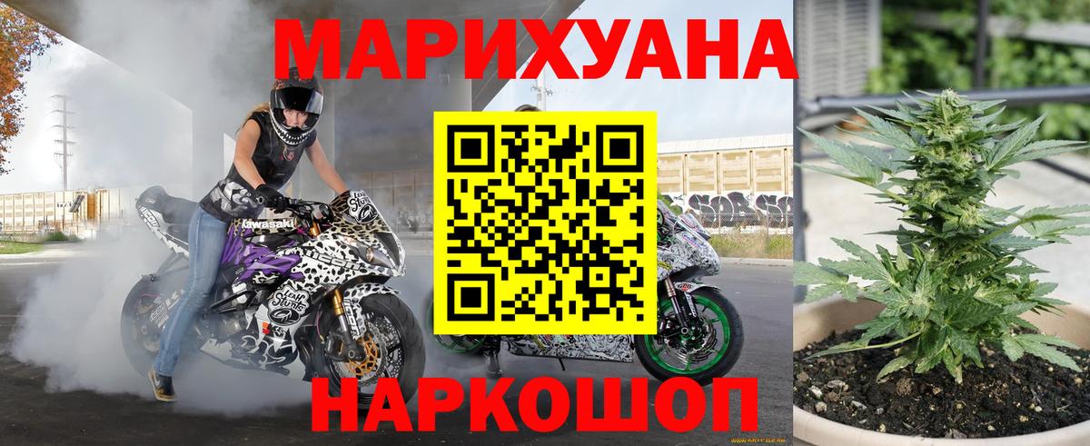Бошки Шишки план Ржев